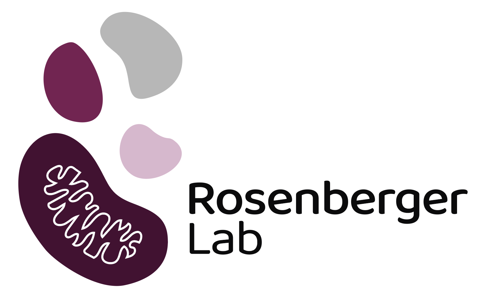 Rosenberger Python Rosenberger Lab
